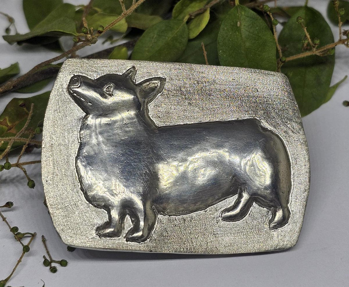 Corgi Buckle Medium